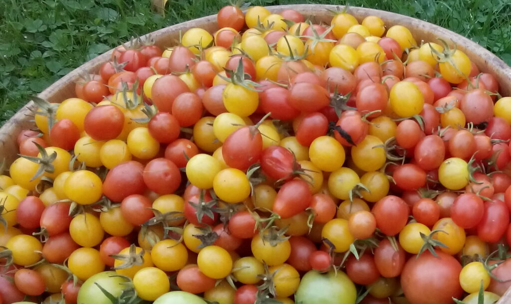 Ernährung nach den Zyklusphasen: Sommer