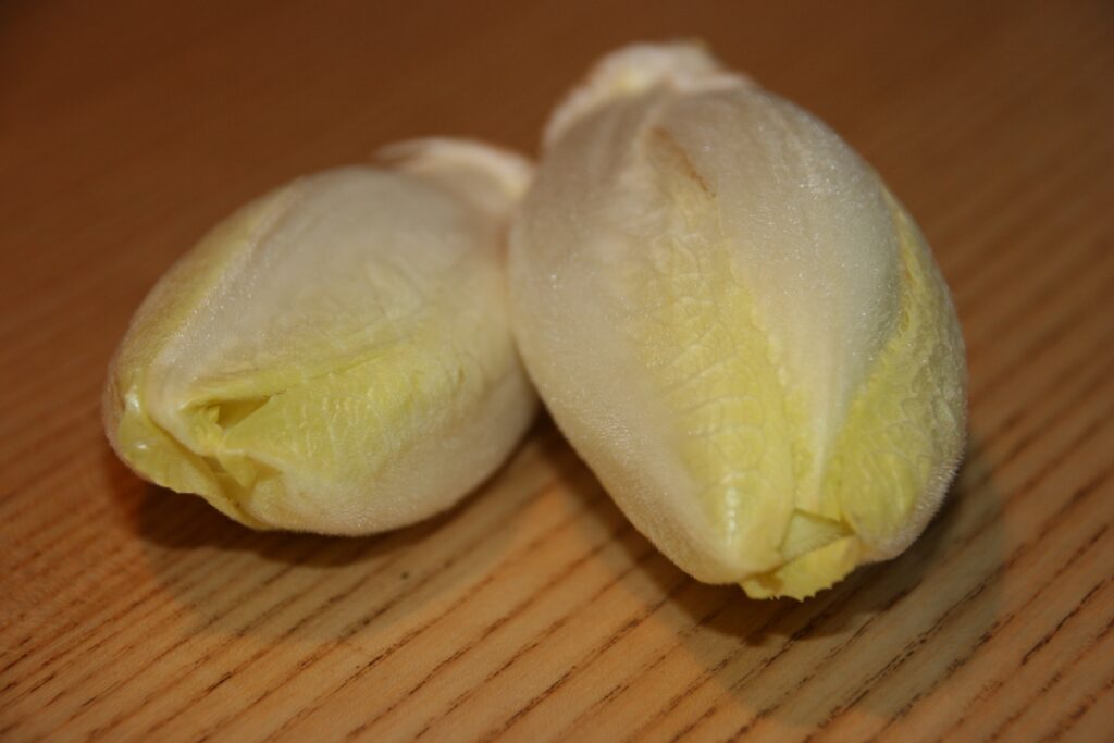 TCM Ernährung nach Yin und Yang: Chicoree
