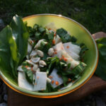 Schneller Kohlrabi-Bärlauch-Salat für den Frühling