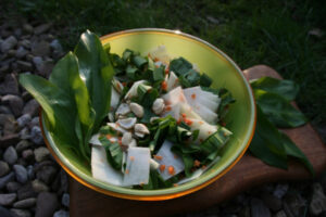Mehr über den Artikel erfahren Schneller Kohlrabi-Bärlauch-Salat für den Frühling