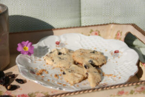 Mehr über den Artikel erfahren Vegane & glutenfreie Cranberry Cookies