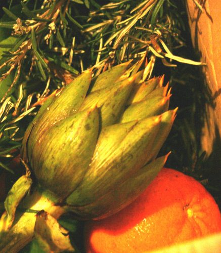 Ernährung_Artischocke_mit_Orange